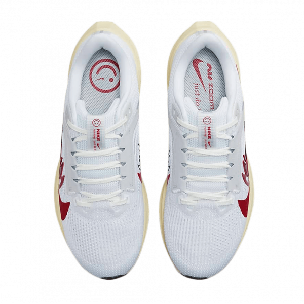 Жіночі кросівки Nike AIR ZOOM PEGASUS 40 PRM ANY