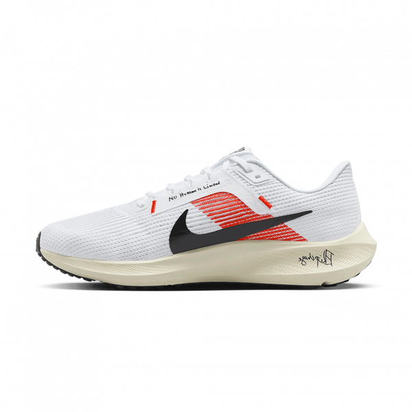 Чоловічі кросівки Nike AIR ZOOM PEGASUS 40 EK