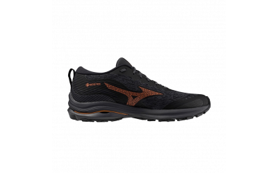 Чоловічі кросівки Mizuno WAVE RIDER GTX