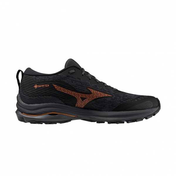 Чоловічі кросівки Mizuno WAVE RIDER GTX