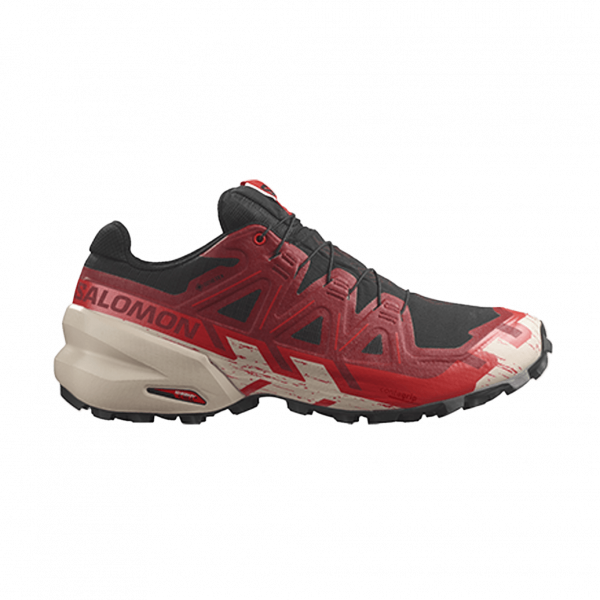 Чоловічі кросівки Salomon SPEEDCROSS 6 GTX